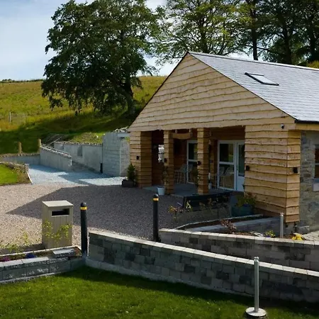 Forestview Cabin No 1 - Cosy Cabin Stay Ballynahinch Exterior photo